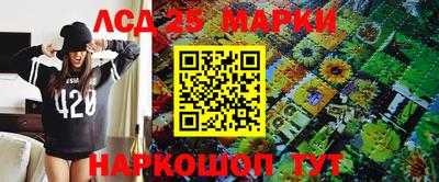 винт Донецк