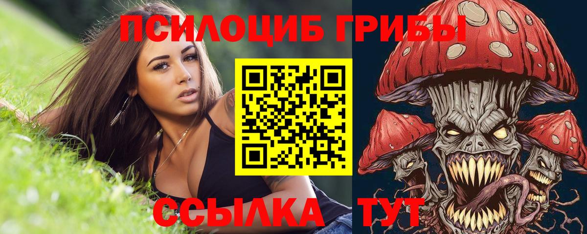 Новосибирск  Галлюциногенные грибы прущие грибы  Вход с VPN 